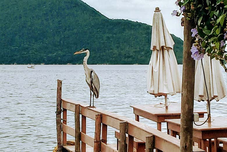 Cais da Lagoa da Conceição