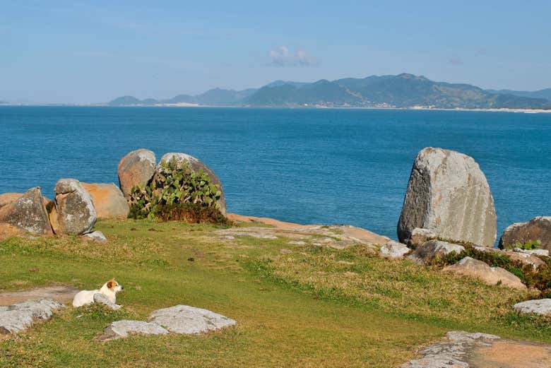 Brazil's Atlantic Coast