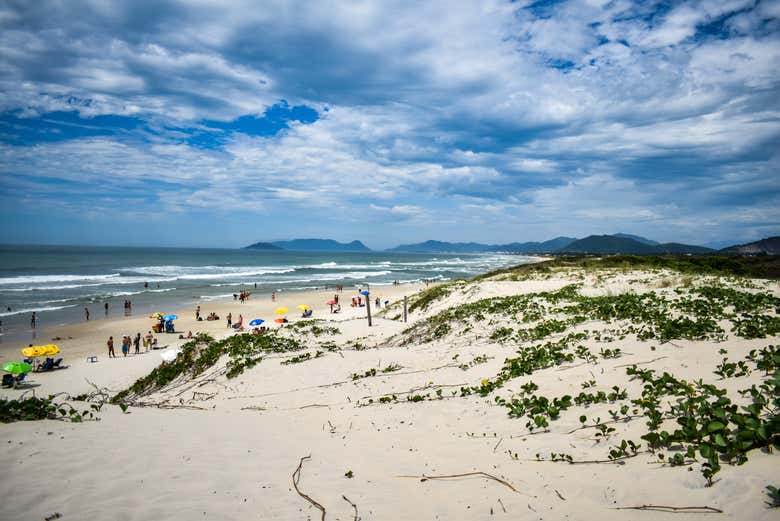 Joaquina beach sand dunes