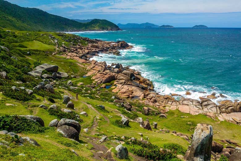 The beauty of Brazil