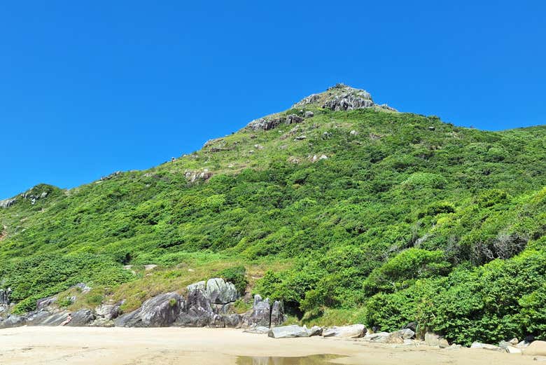 O céu azul sobre o mar e a vegetação
