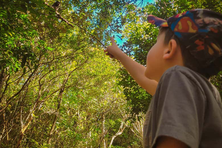 Los más pequeños podrán explorar la naturaleza de Lagoinha 