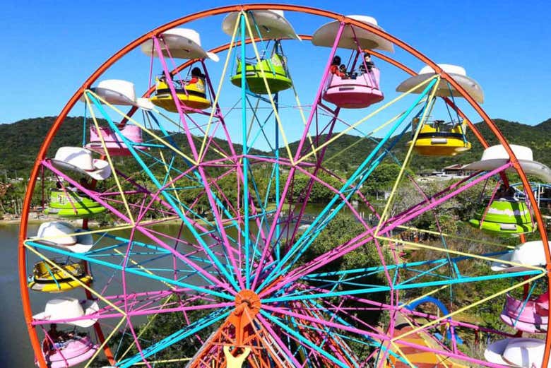 Ride the Big Wheel