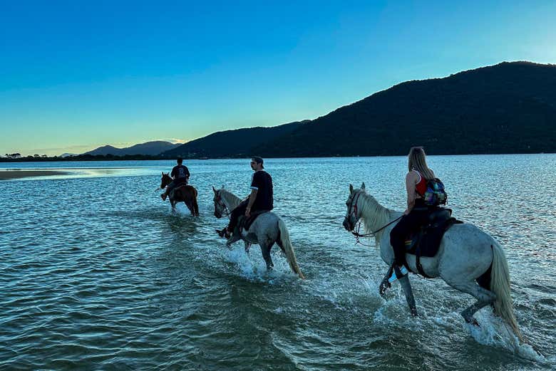 Cross the sea waters on a horse
