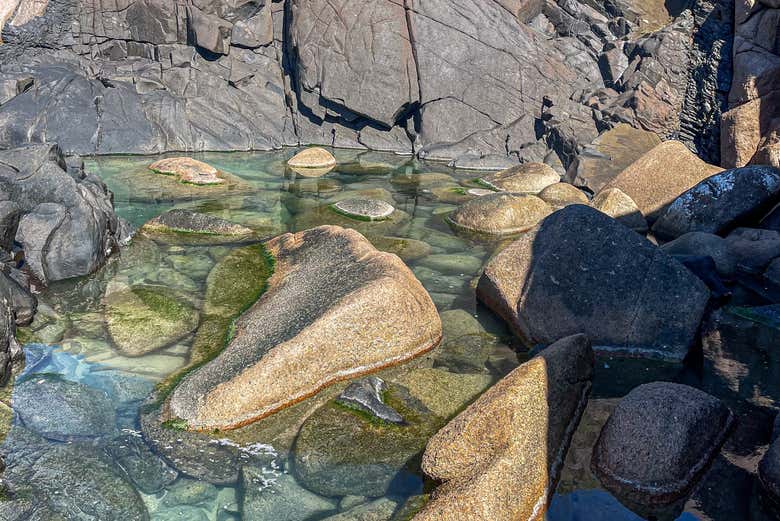Piscine naturelle aux eaux cristallines