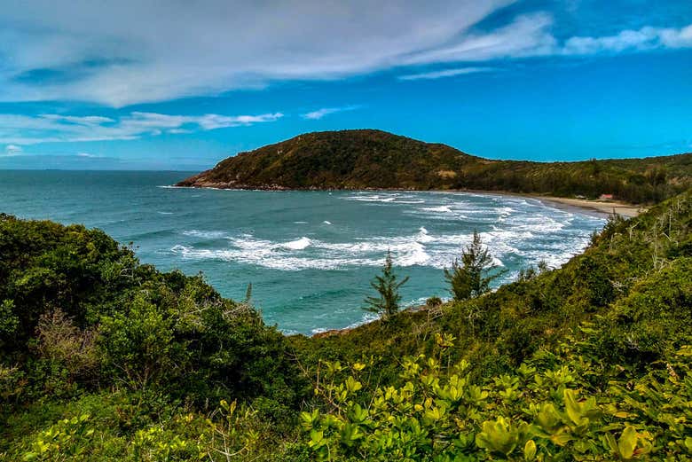 Vue sur la Praia do Rosa
