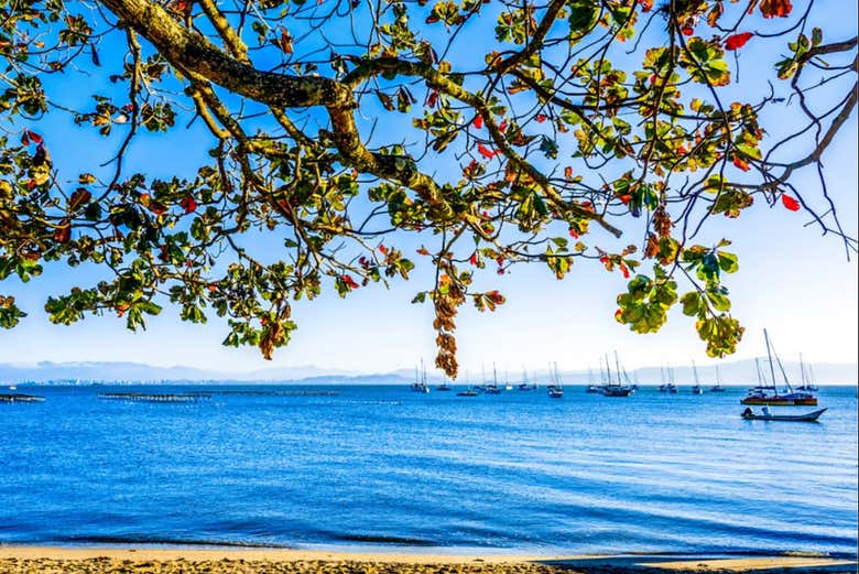 Praia de Santo Antônio de Lisboa