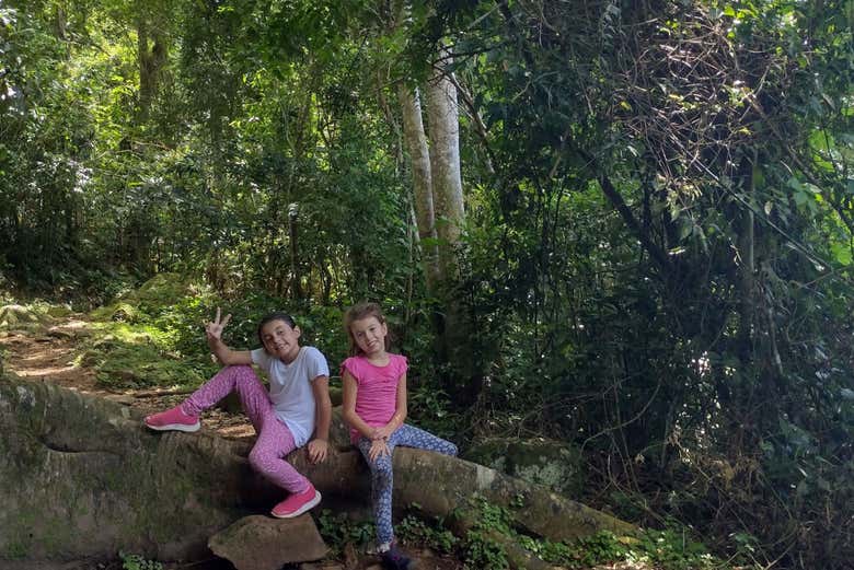 See ancient trees on this hike