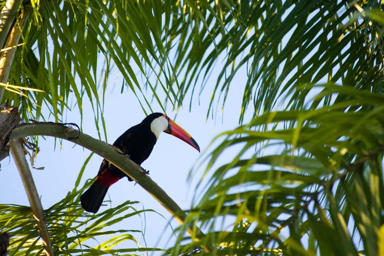 Try to spot local flora and fauna