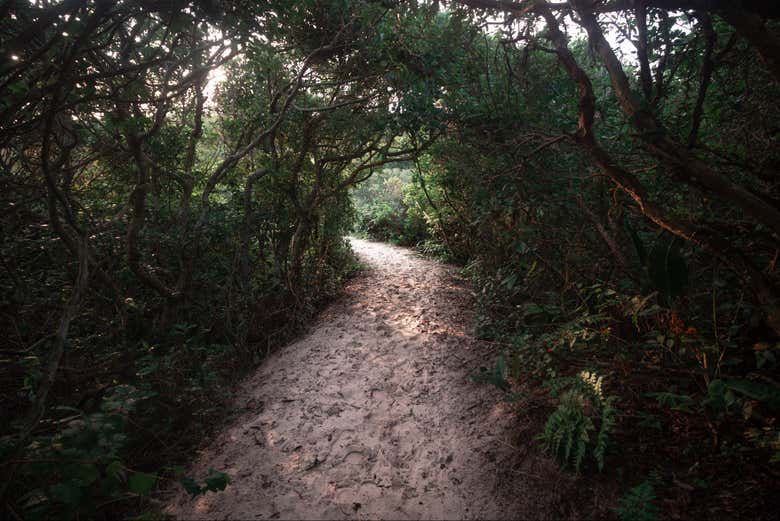 Immerse yourself in nature