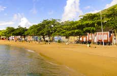 Ribeirão da Ilha Private Tour
