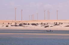 Excursión a Fortim y Uruaú + Tour en buggy