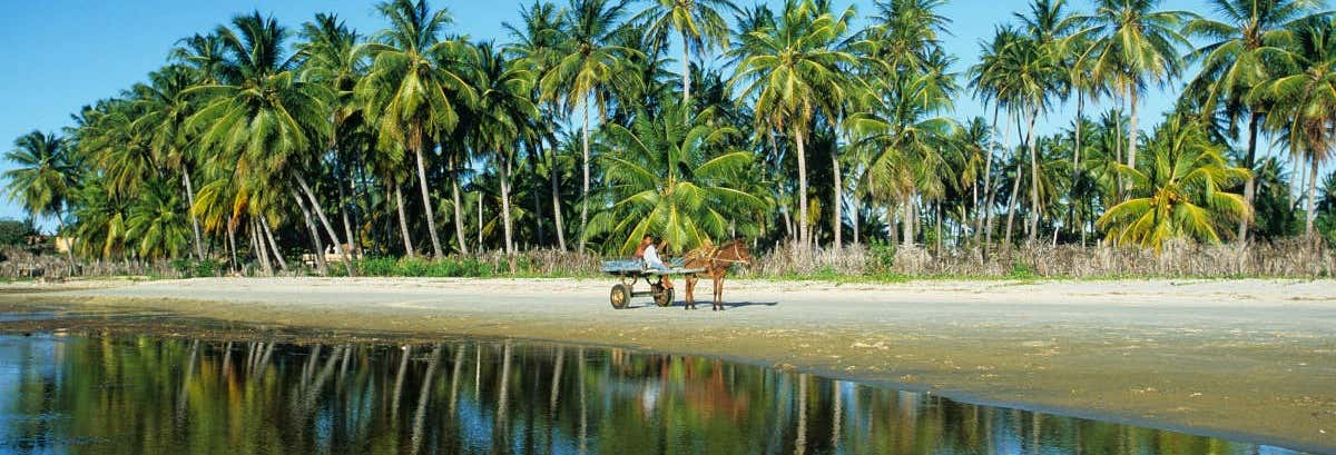 Excursões de um dia em Fortaleza