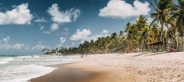 Excursão privada saindo de Fortaleza