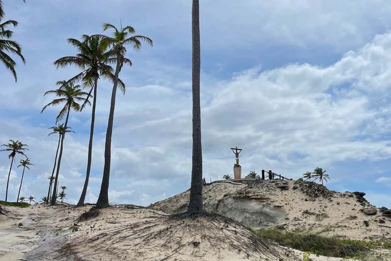 Coqueirais da praia da Lagoinha