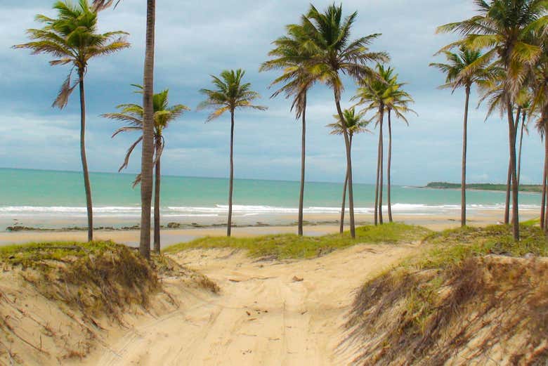 Chegando na praia