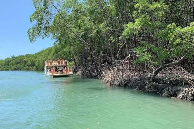 Mundau mangroves