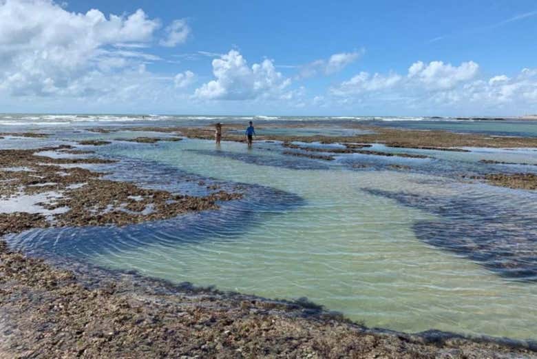 Piscinas naturais na praia de Flecheiras