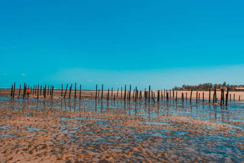 Playa Flecheiras de Brasil