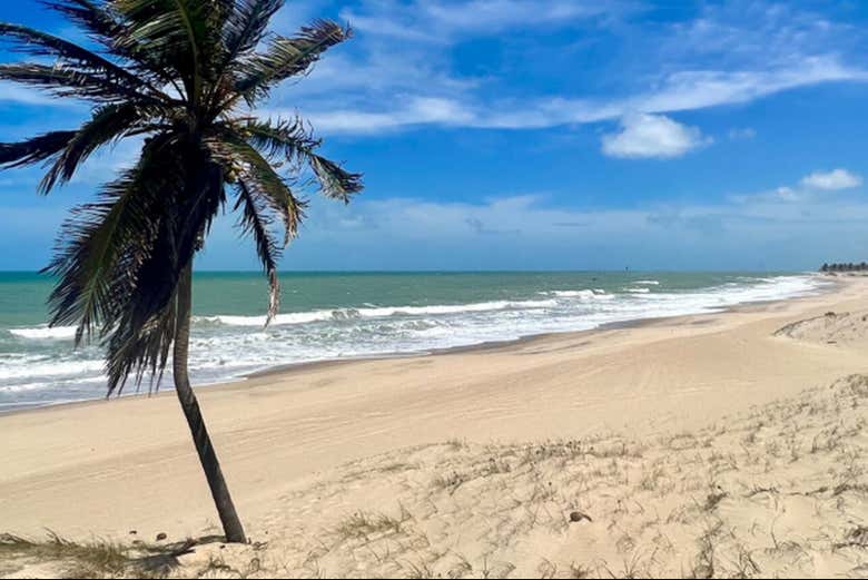 Los colores de la playa de Cumbuco