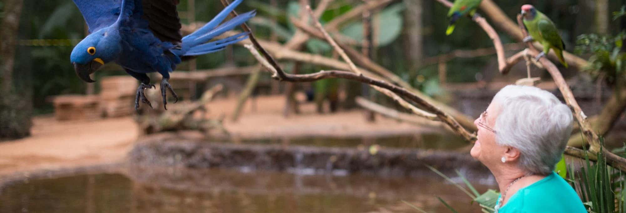 Excursões de um dia em Foz do Iguaçu