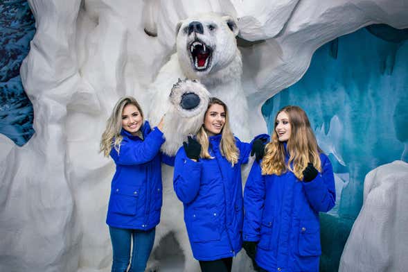 Opiniões - Ingresso do Dreams Ice Bar em Foz do Iguaçu