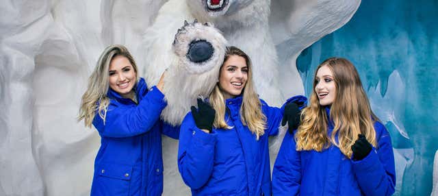 Sentir frio é muito bom! - Avaliações de viajantes - Dreams Ice Bar -  Tripadvisor