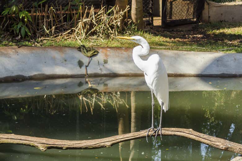 Reserva Biológica de Itaipu