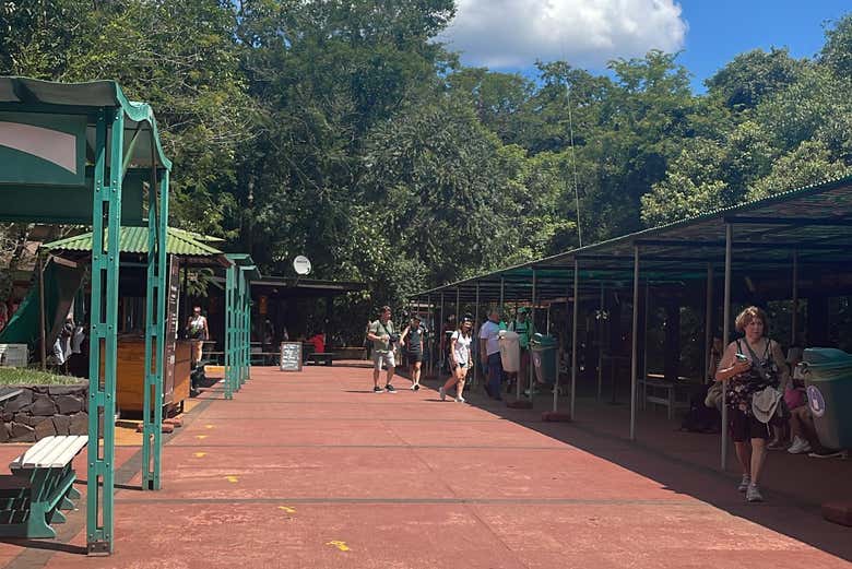 Llegando al parque