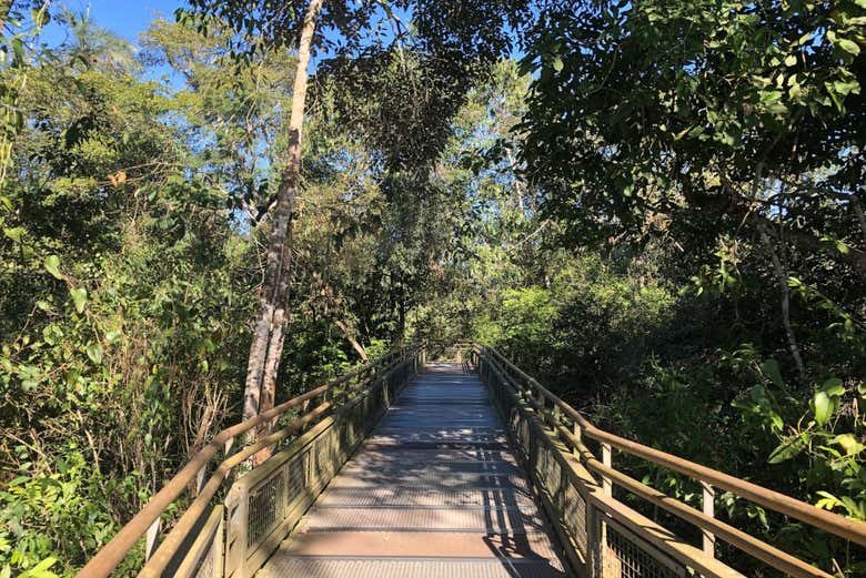 Iguazu Park Footbridge