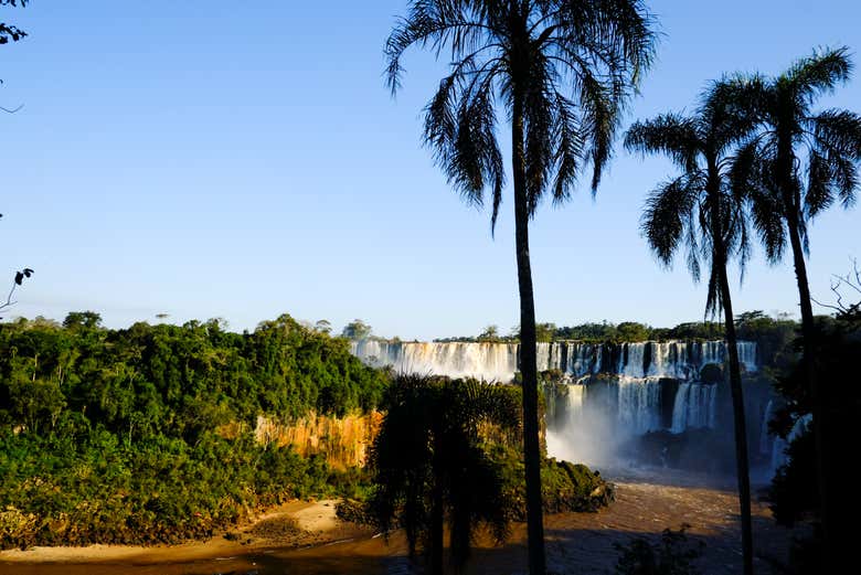 Naturaleza selvática en Iguazú