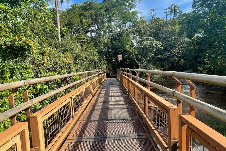 Pasearemos por los senderos de Iguazú
