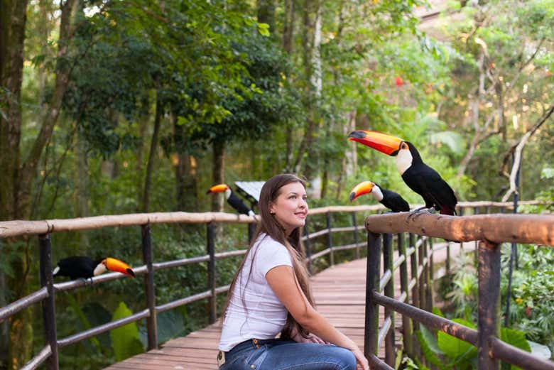 Posando junto a un tucán en el Parque de las Aves