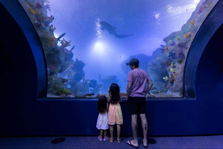 Una actividad perfecta para realizar con niños