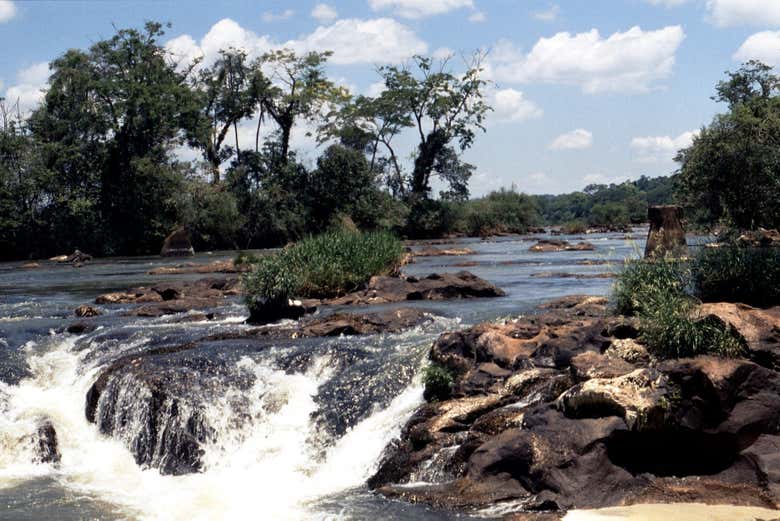 Rio Iguaçu