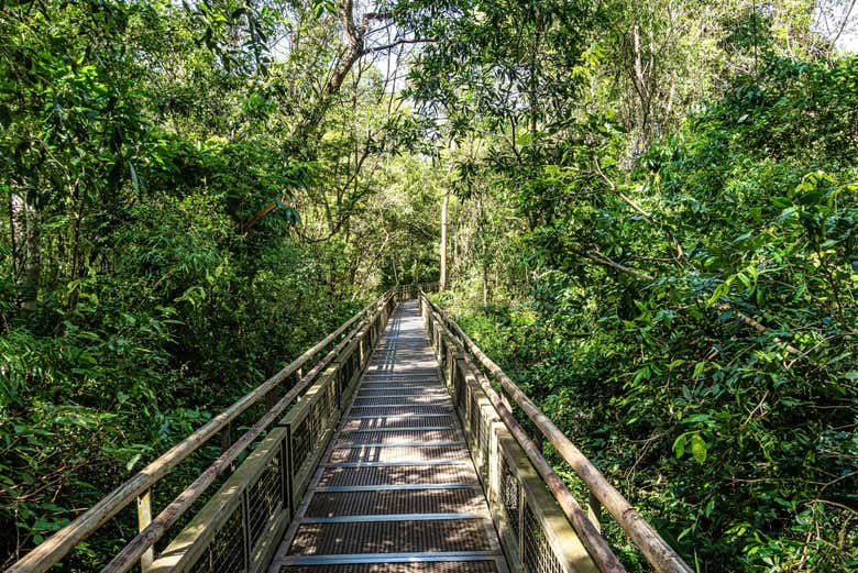 Senderos del Parque Nacional de Iguazú en el lado brasileño