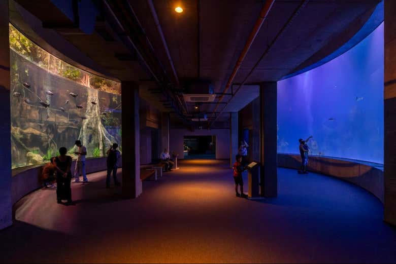 Exploraremos al completo Aquafoz