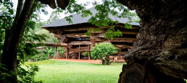 Tour panorâmico por Puerto Iguazú 