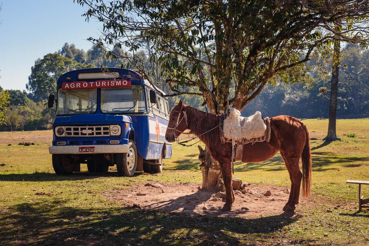 Tour en jardineira por Linha Ávila