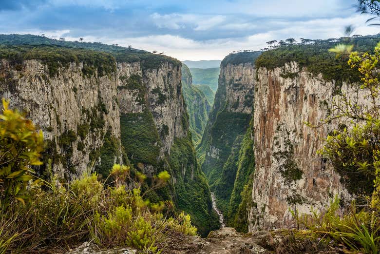 Paisagem exuberante do cânion Itaimbezinho