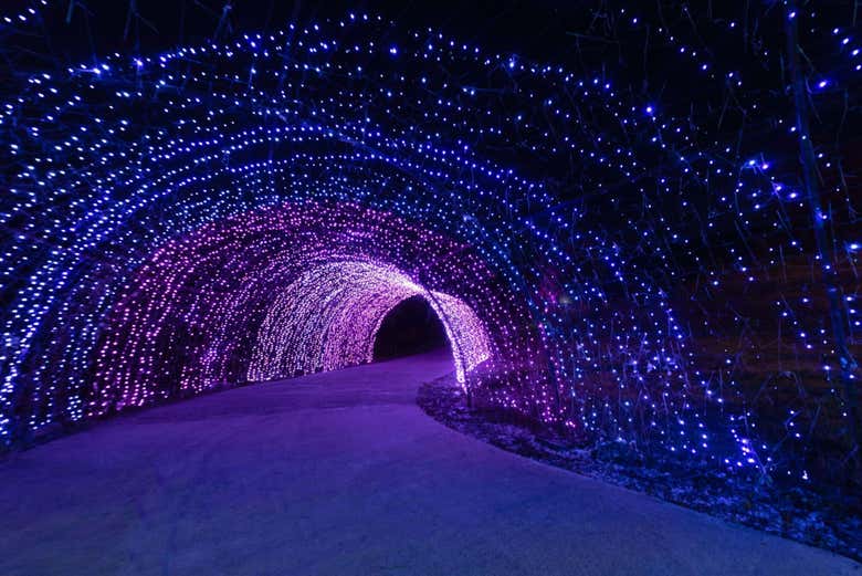 Walk through the Tunnel of Lights