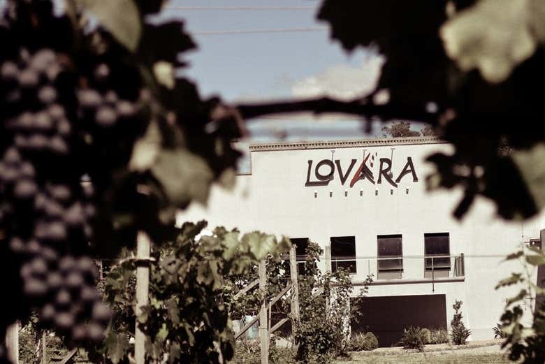 Fachada da vinícola Lovara