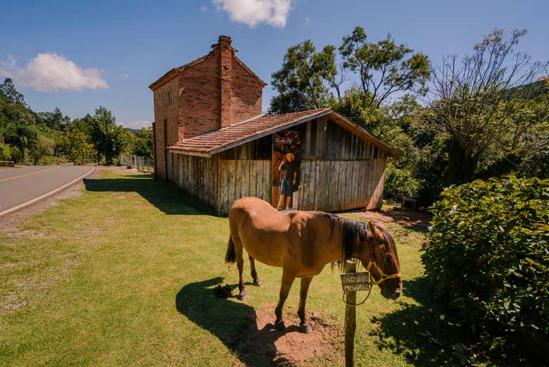 Paisagens rústicas de Gramado