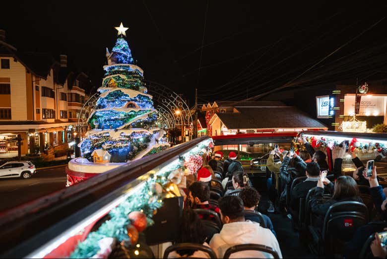 Contemplad el gran árbol de Navidad desde el autobús