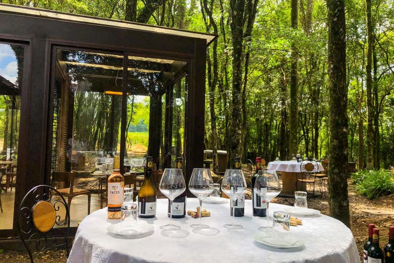 Disfrutad de una experiencia gastronómica en la naturaleza