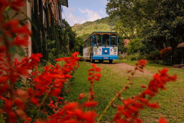 Ônibus jardineira de Linha Bella