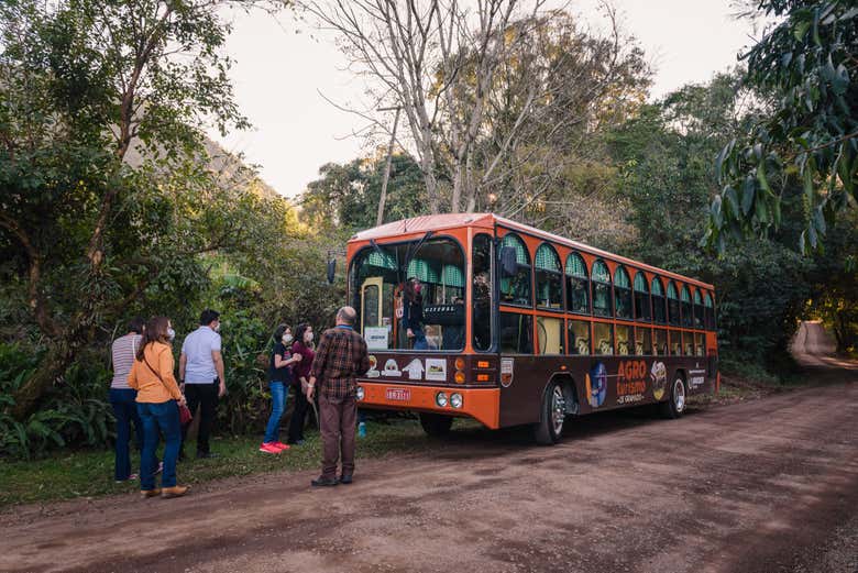 Jardineira temática