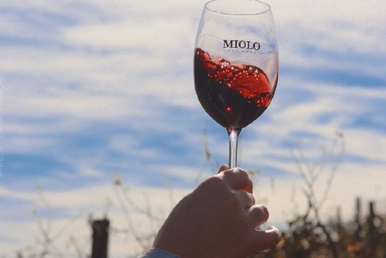 Provando o vinho da vinícola Miolo