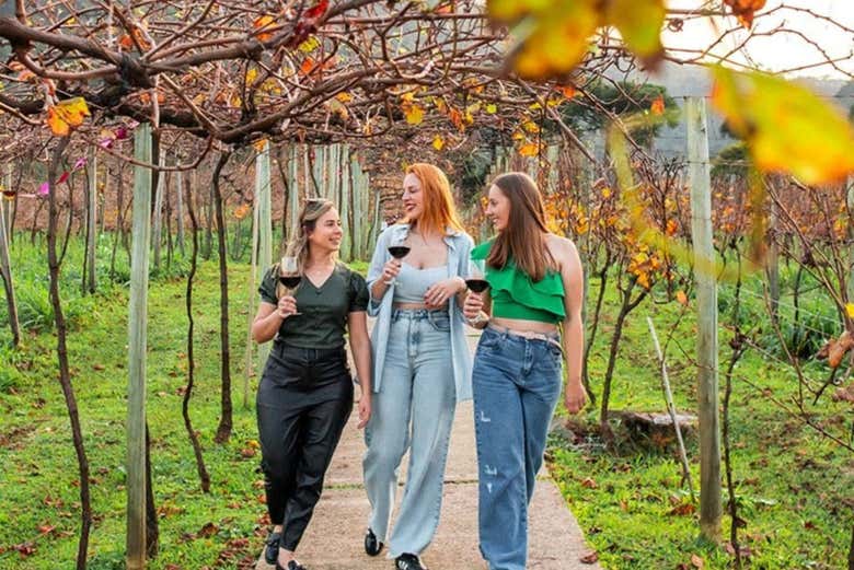 Tour the Jolimont winery