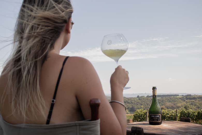 Brindad con exquisitos vinos contemplando el paisaje